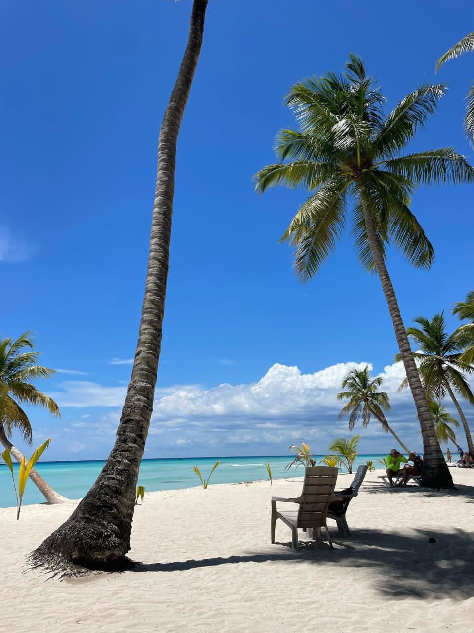 10 cosas imprescindibles que hacer en Punta Cana